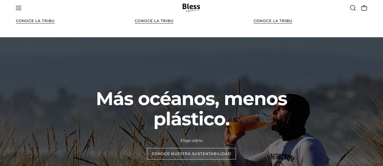 Sección 3 de la web de Bless